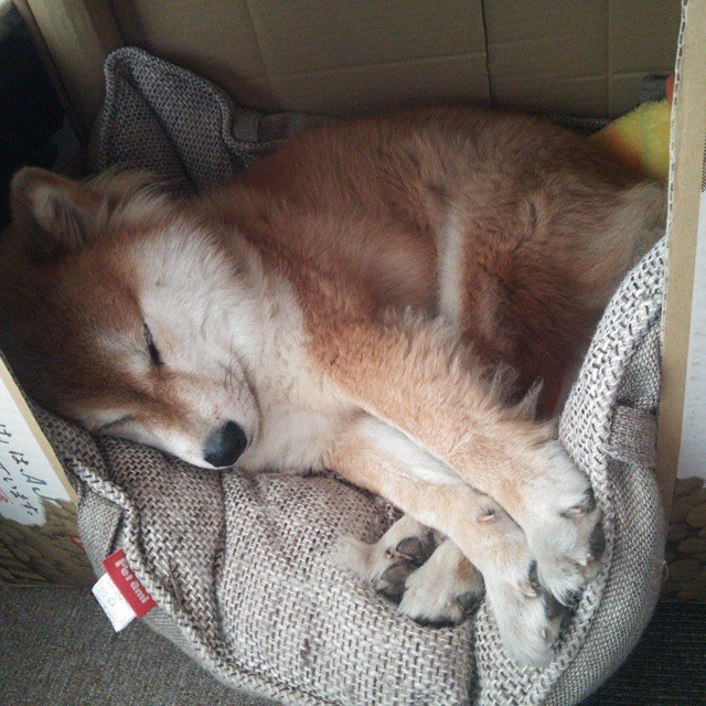 九游网游官网-五大联赛是否在训练中增加节奏段落识别能力提升控场水平，五大联赛怎么比赛