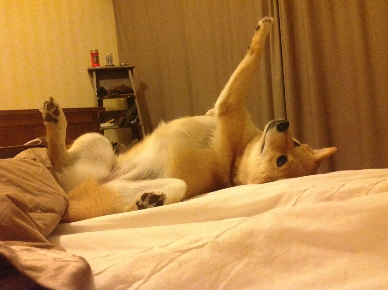 九游电脑版-印度队未来发展：通过细化训练程序，提升团队协作力，印度部队最新消息