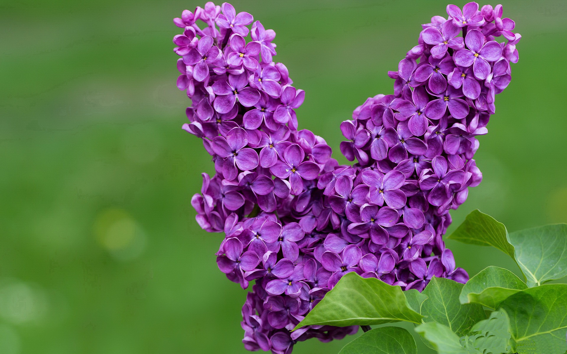 九游app官网下载-高压防守失败后球队是否更容易失去比赛主动权，高压防护方案