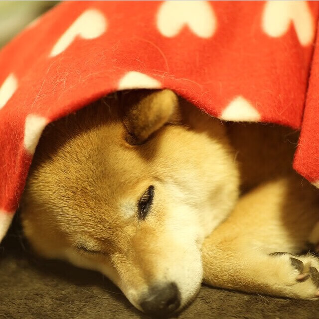 九游下载中心-以足球为主题的虚拟现实逃脱游戏爆火，吸引极大关注，能玩虚拟足球的app