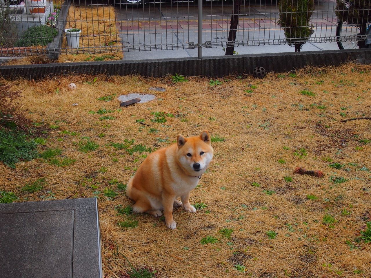 九游网游官网-南苏丹男篮在非洲锦标赛中拼搏，彰显新兴篮球力量