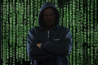 九游网页版入口-弗朗索瓦·斯图尔特：出色的进攻组织者，带领南非队稳步向前，弗朗索瓦莱特瑞尔