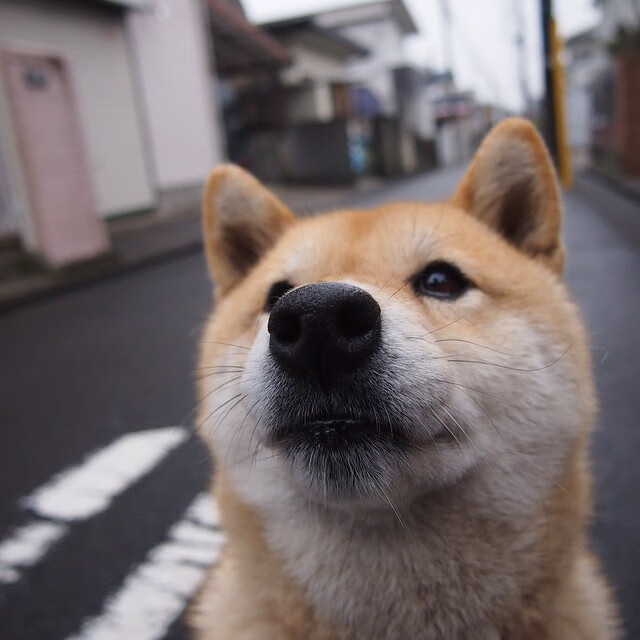 -新赛季目标清晰明确,新赛季什么时候拿标