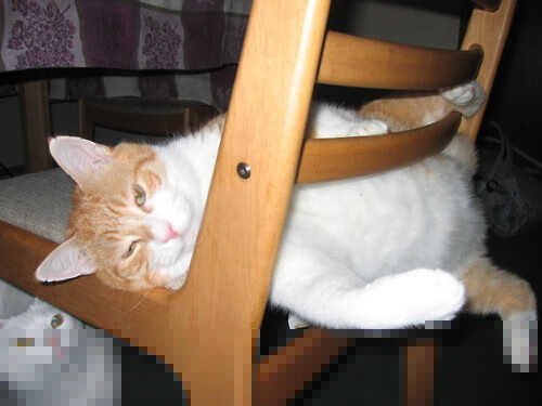 九游下载安装-2024巴黎奥运场馆注重能源利用效率，巴黎奥运会场馆建设