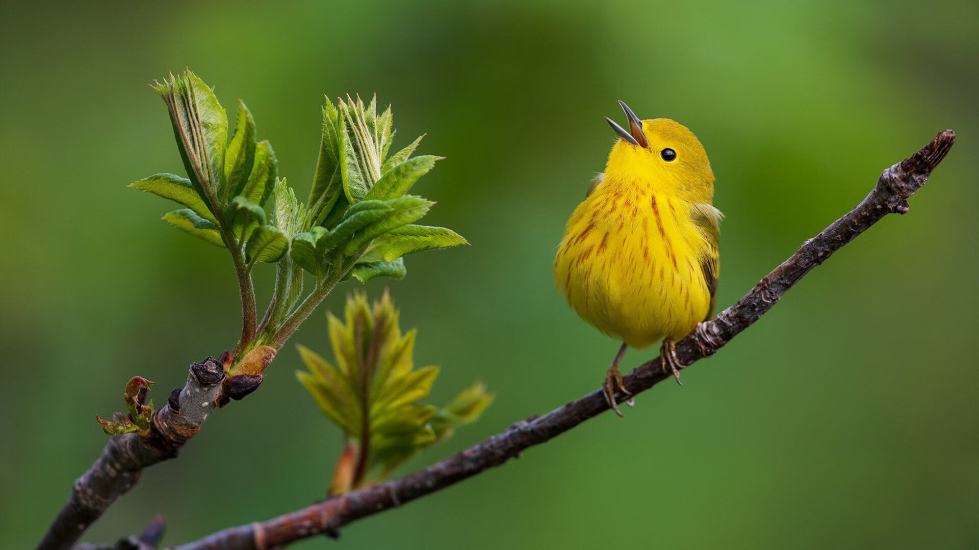 JIUYOU GAMING-中国足球国家队强化球队凝聚力建设，如何提高业余足球队的凝聚力