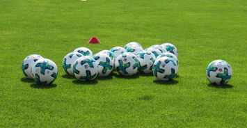 JIU YOU GAME-中国足球青训教练员培养路径，中国足球青训人才